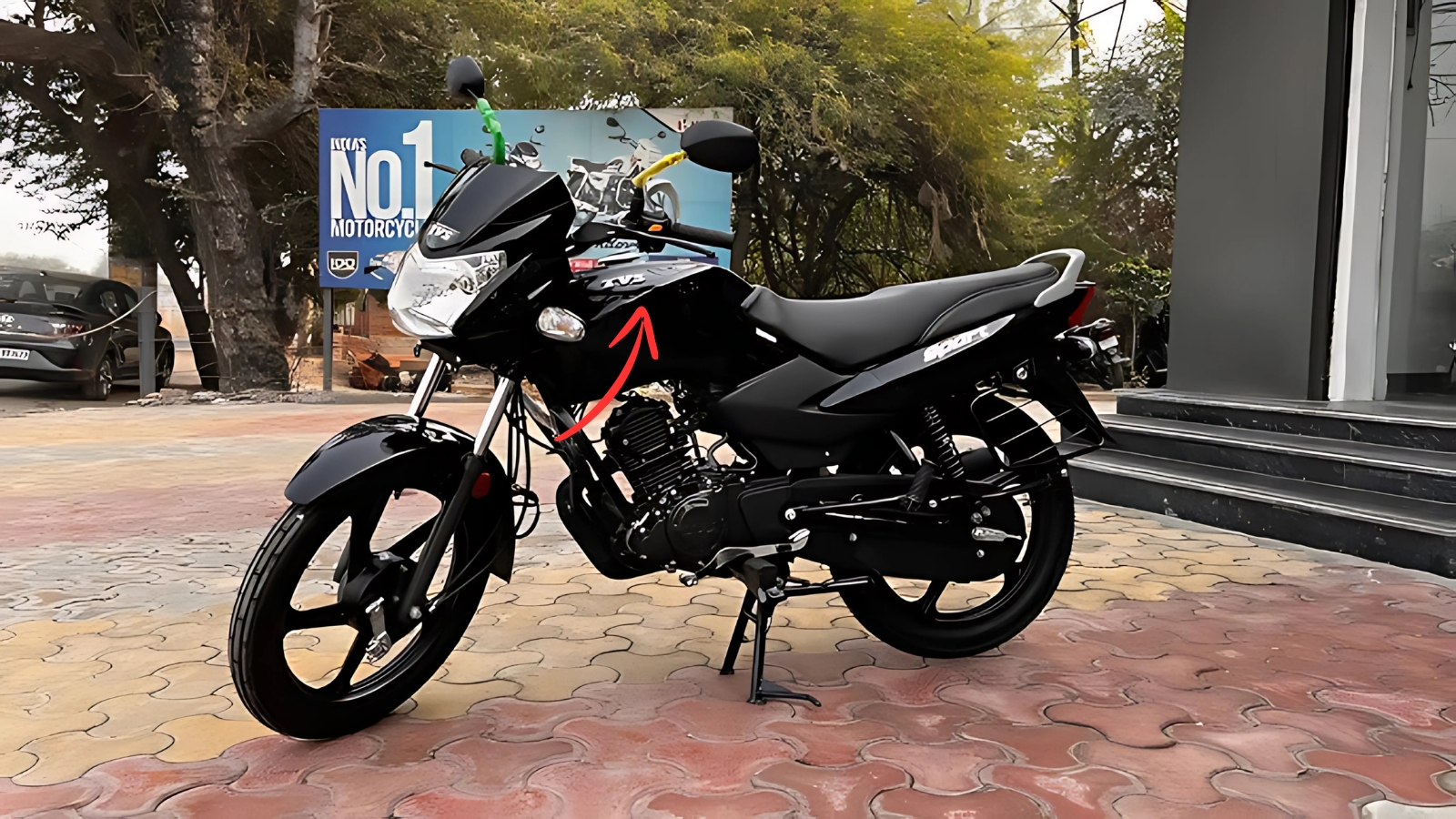 TVS star sport