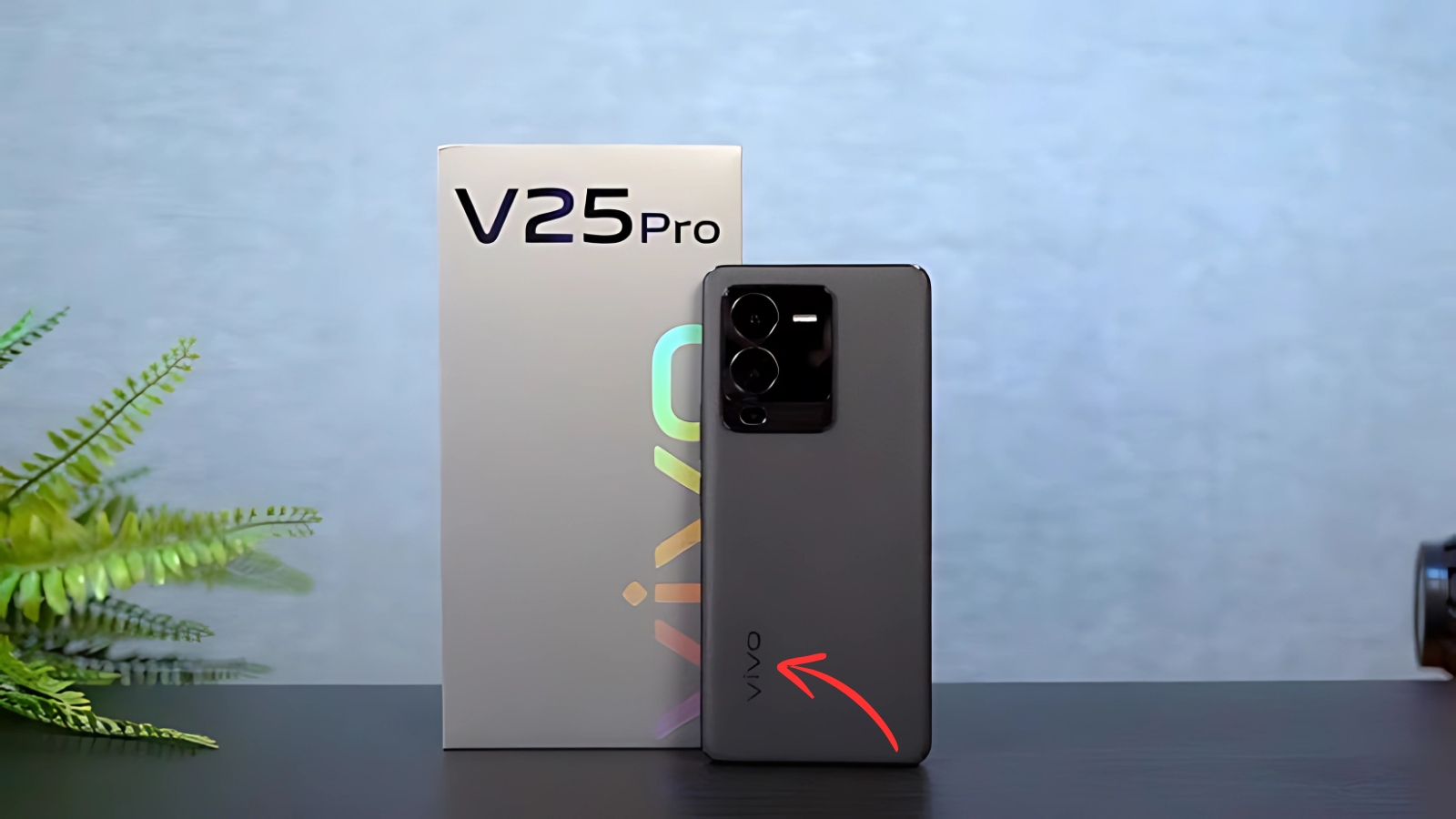 Vivo V25 pro