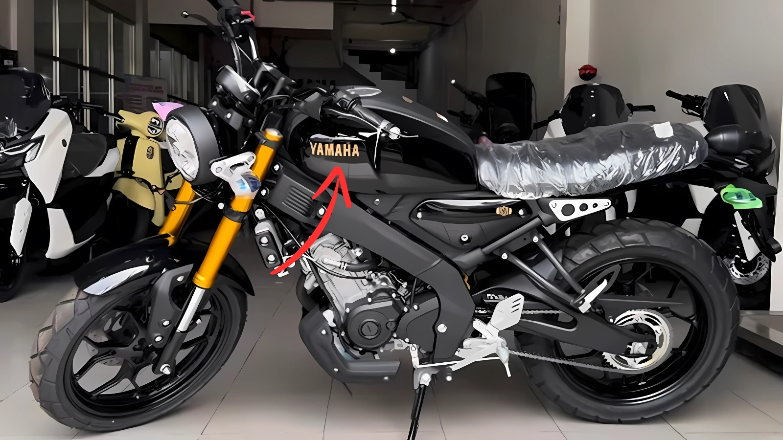 Yamaha XSR 155